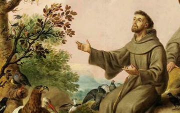 San Francesco: Dal cuore dell'Umbria al mondo: Guida TV  - TV Sorrisi e Canzoni
