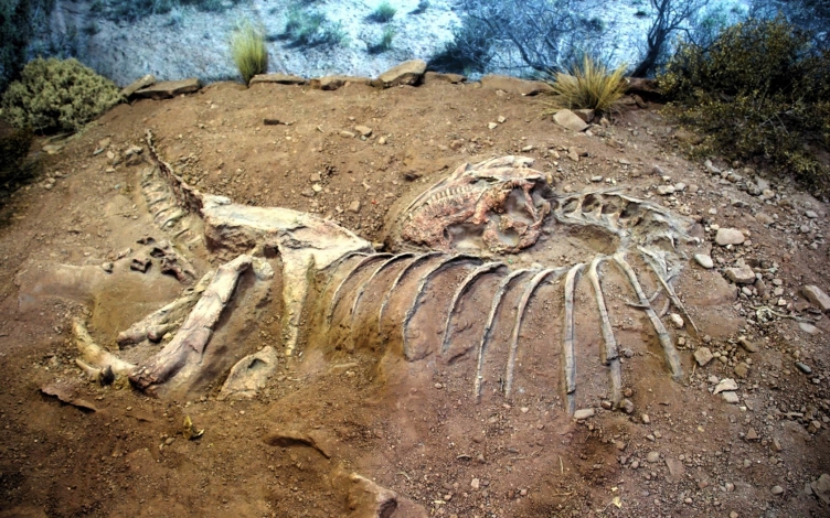 Dinosauri: duello mortale: Guida TV  - TV Sorrisi e Canzoni