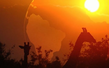 Incontri Ravvicinati Nel Meraviglioso Mondo Degli Animali: Guida TV  - TV Sorrisi e Canzoni