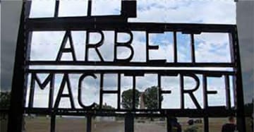 I dimenticati di Sachsenhausen: Guida TV  - TV Sorrisi e Canzoni
