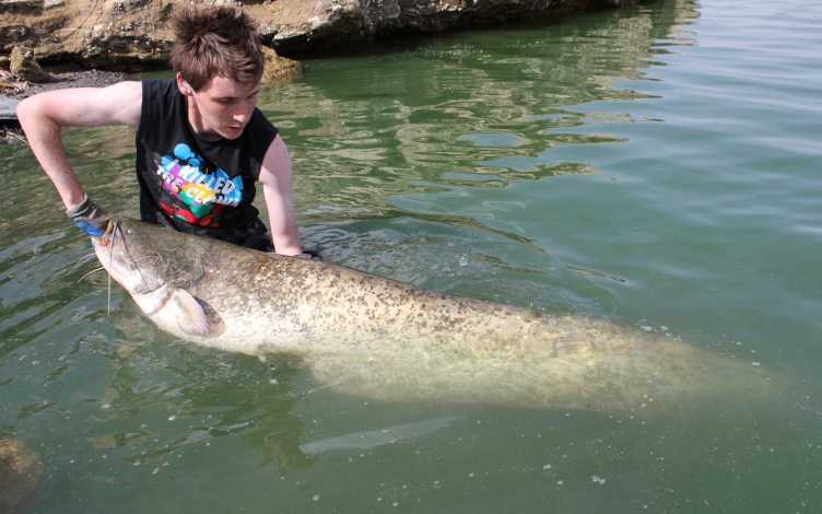 Monster Fish: viaggio sul fiume: Guida TV  - TV Sorrisi e Canzoni