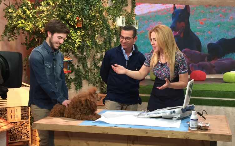 Cronache Animali Estate: Guida TV  - TV Sorrisi e Canzoni