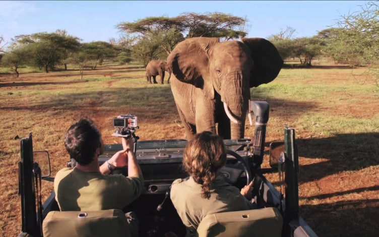 African Safari: Guida TV  - TV Sorrisi e Canzoni
