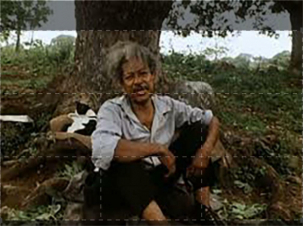 La Soufrière: Guida TV  - TV Sorrisi e Canzoni