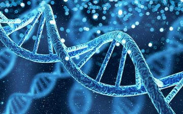 Dna: Il Codice Della Vita: Guida TV  - TV Sorrisi e Canzoni