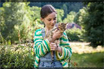 Vita da gatto: Guida TV  - TV Sorrisi e Canzoni