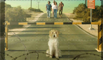 Torna a casa, Jimi! - 10 cose da non fare quanto perdi il tuo cane a Cipro: Guida TV  - TV Sorrisi e Canzoni