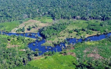 Amazzonia: viaggio nella Foresta: Guida TV  - TV Sorrisi e Canzoni