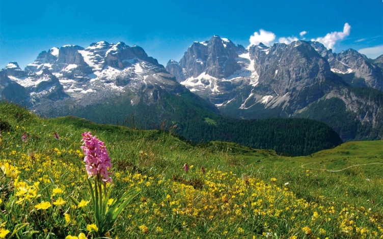 Girovagando in Trentino: Guida TV  - TV Sorrisi e Canzoni