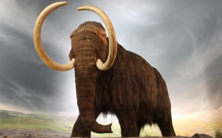 Mammut. Progetto clonazione: Guida TV  - TV Sorrisi e Canzoni