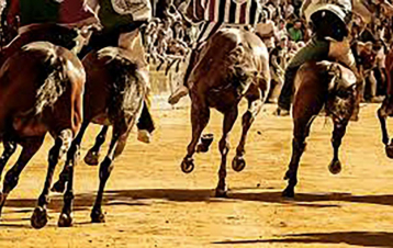 TGR Cavalcata dell'Assunta: Guida TV  - TV Sorrisi e Canzoni