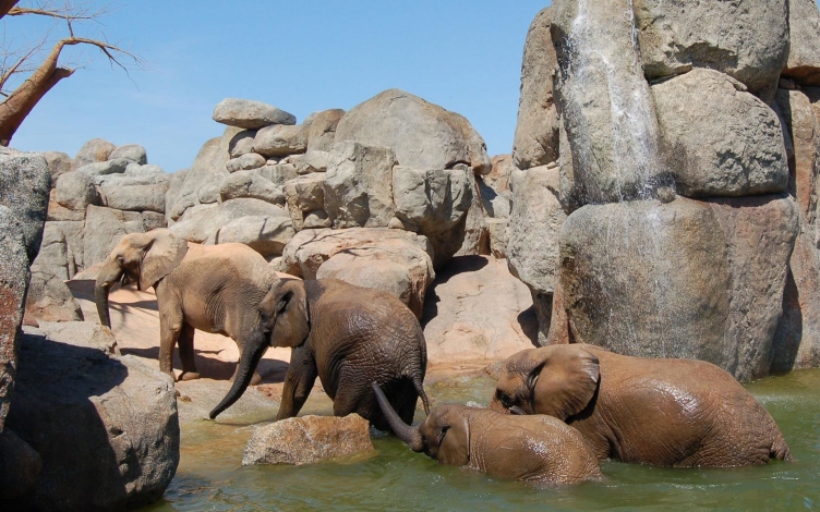 Madagascar: la perla dell'Africa: Guida TV  - TV Sorrisi e Canzoni