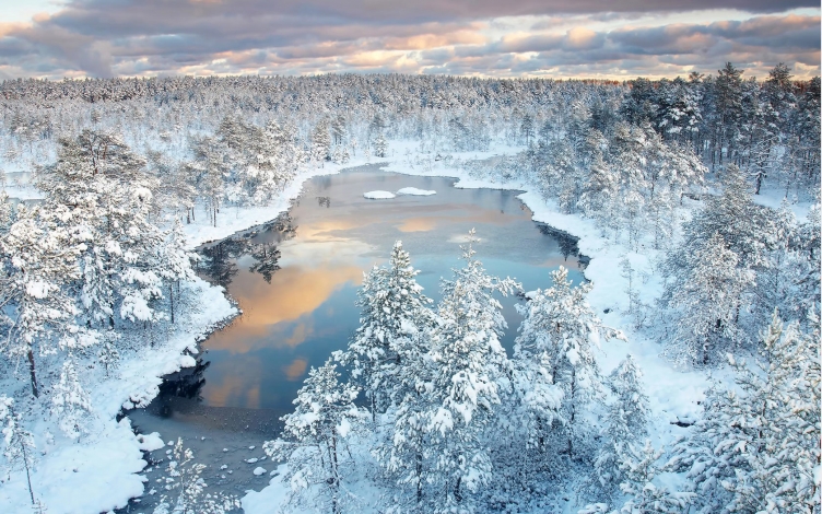 Winter Wonderland: Guida TV  - TV Sorrisi e Canzoni