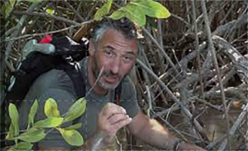 Focus Natura: Guida TV  - TV Sorrisi e Canzoni