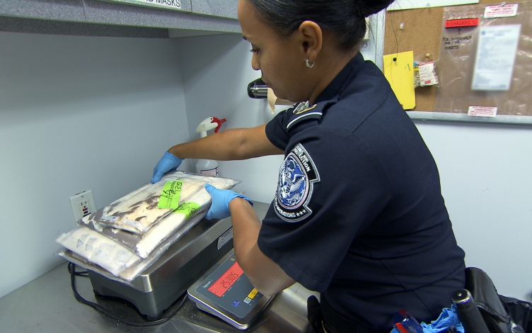 Airport Security USA: Guida TV  - TV Sorrisi e Canzoni