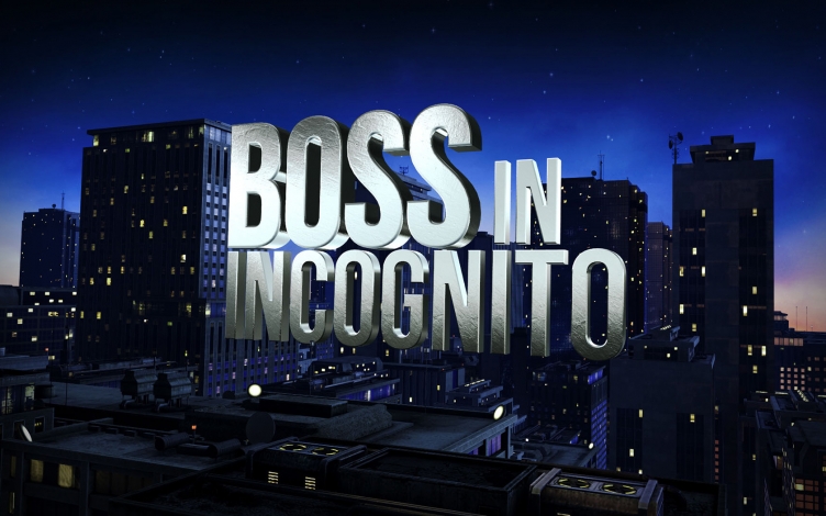 Boss in incognito: Guida TV  - TV Sorrisi e Canzoni