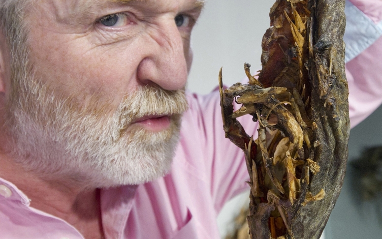After Life: The Strange Science of Decay: Guida TV  - TV Sorrisi e Canzoni