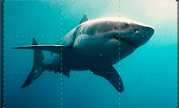 Shark Night: Guida TV  - TV Sorrisi e Canzoni