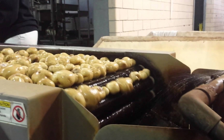 Factory Made: Guida TV  - TV Sorrisi e Canzoni