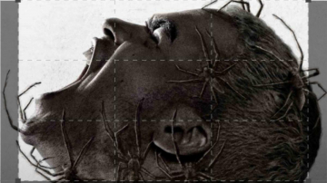 Vermin: Guida TV  - TV Sorrisi e Canzoni