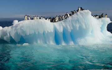 Antartide, viaggio alla fine della terra: Guida TV  - TV Sorrisi e Canzoni