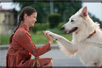 Lampo, il cane viaggiatore: Guida TV  - TV Sorrisi e Canzoni