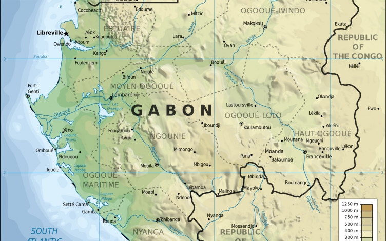 Wild Gabon: Guida TV  - TV Sorrisi e Canzoni