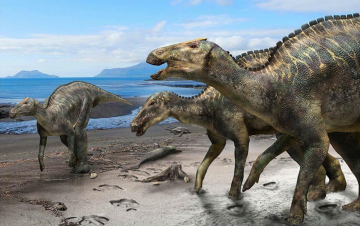 Dinosauri: misteri svelati: Guida TV  - TV Sorrisi e Canzoni