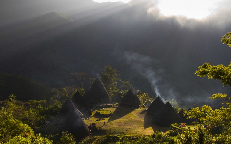 Wildest Indonesia: Guida TV  - TV Sorrisi e Canzoni