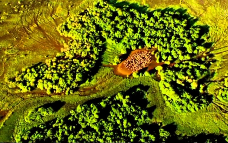 La terra vista dal cielo: Guida TV  - TV Sorrisi e Canzoni