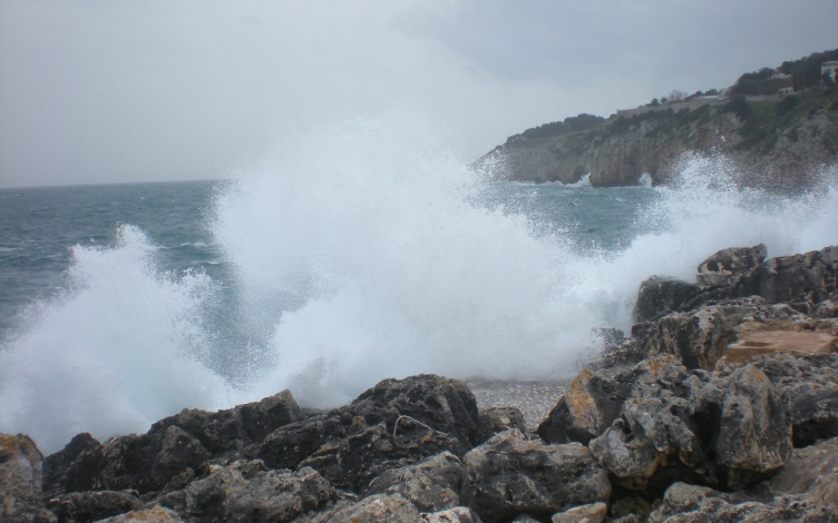 Next Wave: Guida TV  - TV Sorrisi e Canzoni