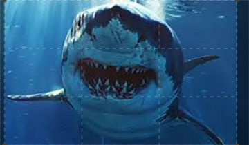 Makozilla: il terrore degli abissi: Guida TV  - TV Sorrisi e Canzoni