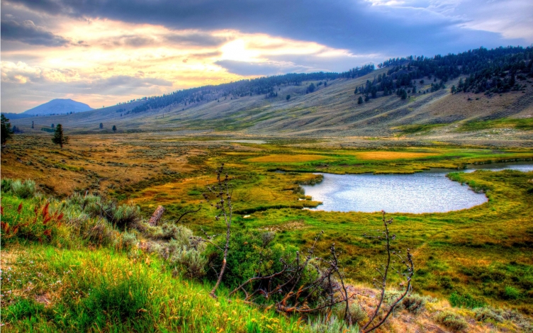Wild Yellowstone: Guida TV  - TV Sorrisi e Canzoni
