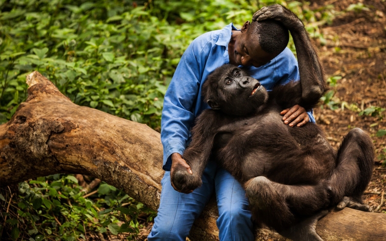 Virunga: un parco da salvare: Guida TV  - TV Sorrisi e Canzoni