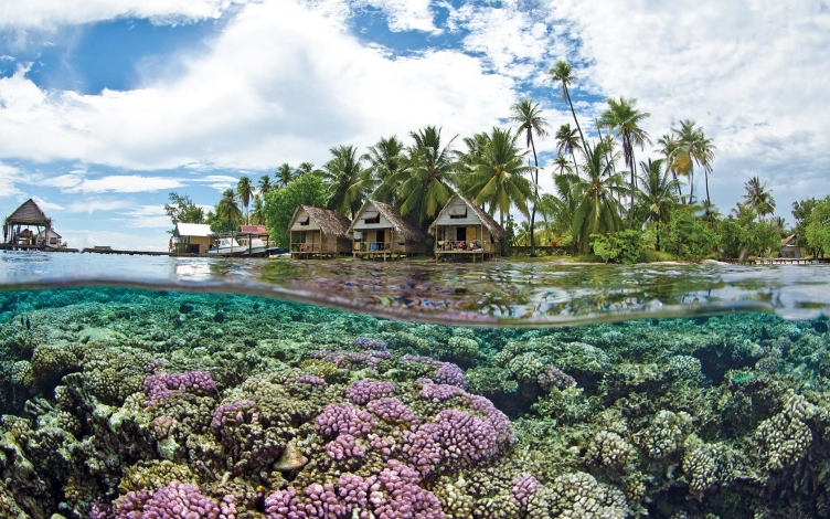 Welcome to Isola di Tahiti: Guida TV  - TV Sorrisi e Canzoni