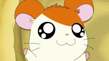 Hamtaro: Guida TV  - TV Sorrisi e Canzoni