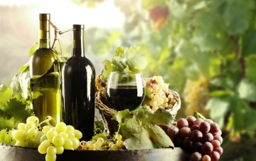 War of Wineries: Guida TV  - TV Sorrisi e Canzoni