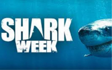 Shark Week: Guida TV  - TV Sorrisi e Canzoni