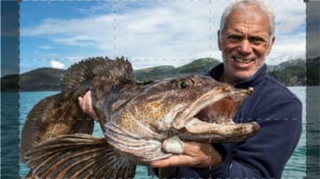 River Monsters: mondi sommersi: Guida TV  - TV Sorrisi e Canzoni