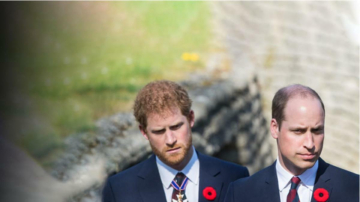 The Princes and the Press - I segreti dei Windsor: Guida TV  - TV Sorrisi e Canzoni