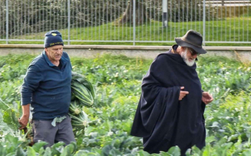 Giorgione a casa tua - Garda: Guida TV  - TV Sorrisi e Canzoni