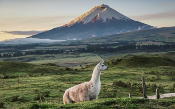 Ecuador, paradiso di biodiversità: Guida TV  - TV Sorrisi e Canzoni