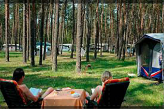 Camping di famiglia: Guida TV  - TV Sorrisi e Canzoni