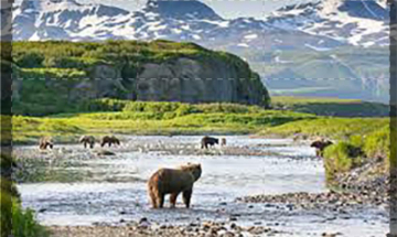 Alaska - Terra incontaminata: Guida TV  - TV Sorrisi e Canzoni