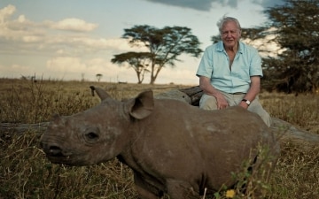 Il pianeta dei mammiferi con David Attenborough: Guida TV  - TV Sorrisi e Canzoni