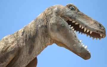 Il regno dei dinosauri: Guida TV  - TV Sorrisi e Canzoni