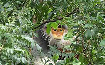 Untamed Vietnam: Guida TV  - TV Sorrisi e Canzoni
