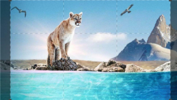 Patagonia - La vita ai confini del mondo: Guida TV  - TV Sorrisi e Canzoni