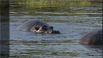 Waterworld Africa: Guida TV  - TV Sorrisi e Canzoni