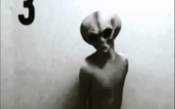 Alieni: incontri ravvicinati: Guida TV  - TV Sorrisi e Canzoni